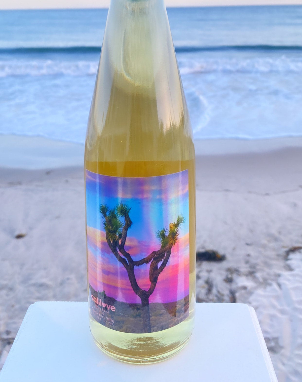 Verres à Liqueur Joshua Tree California National Park Series